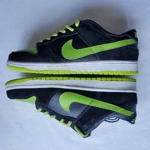 Nike | Shoes | Nike Dunk Low Pro Sb Neon Jpack | Poshmark